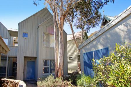 Snowgums 09